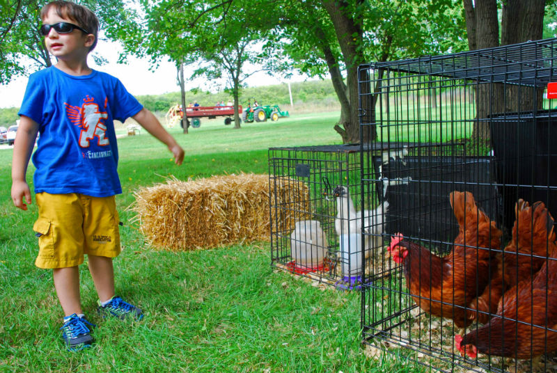 ABoywithChickensinacageatChrisholmMetroParkinMetroParksofButlerCounty