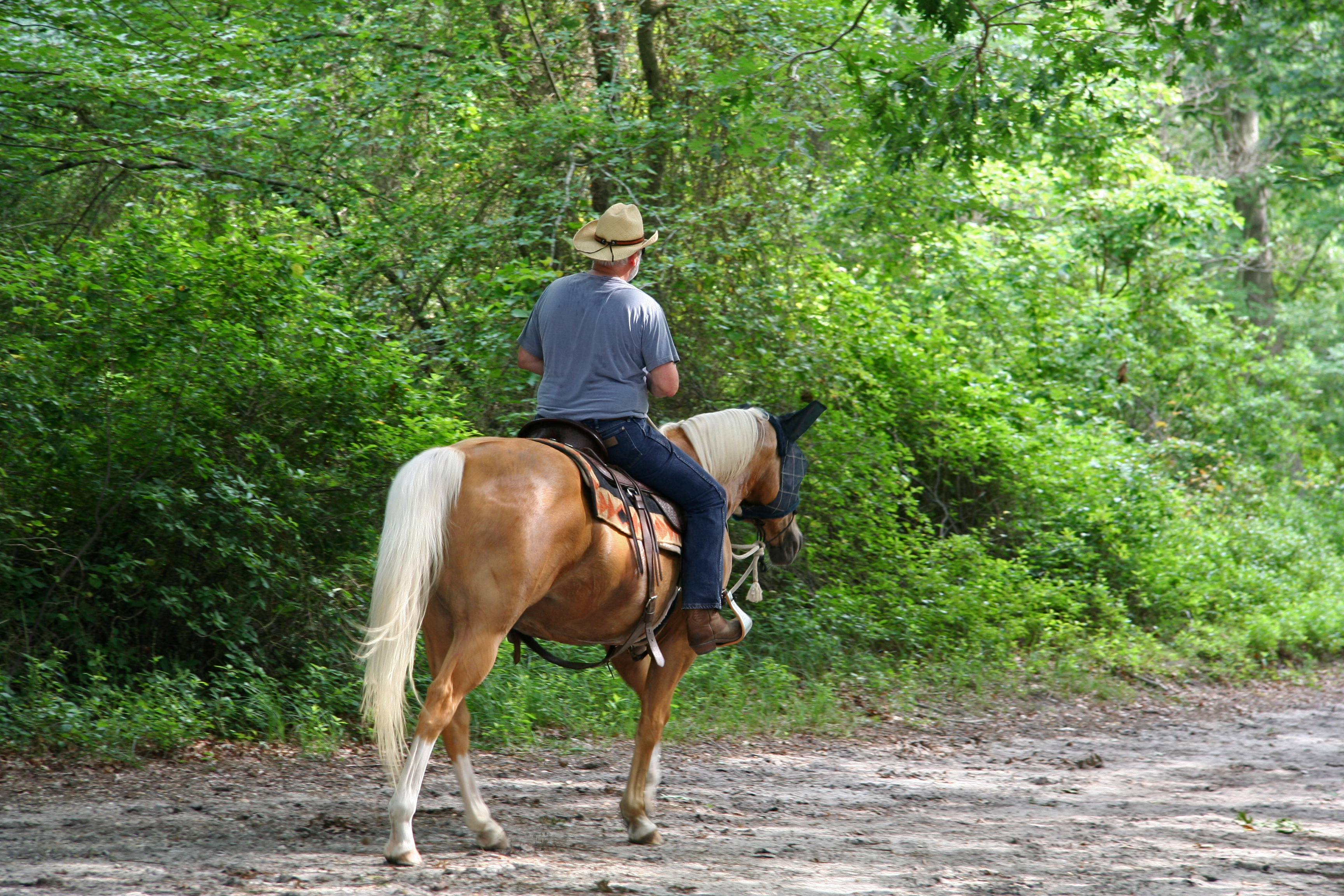 ManHorsebackridingatSebaldParkinMetroParksofButlerCounty