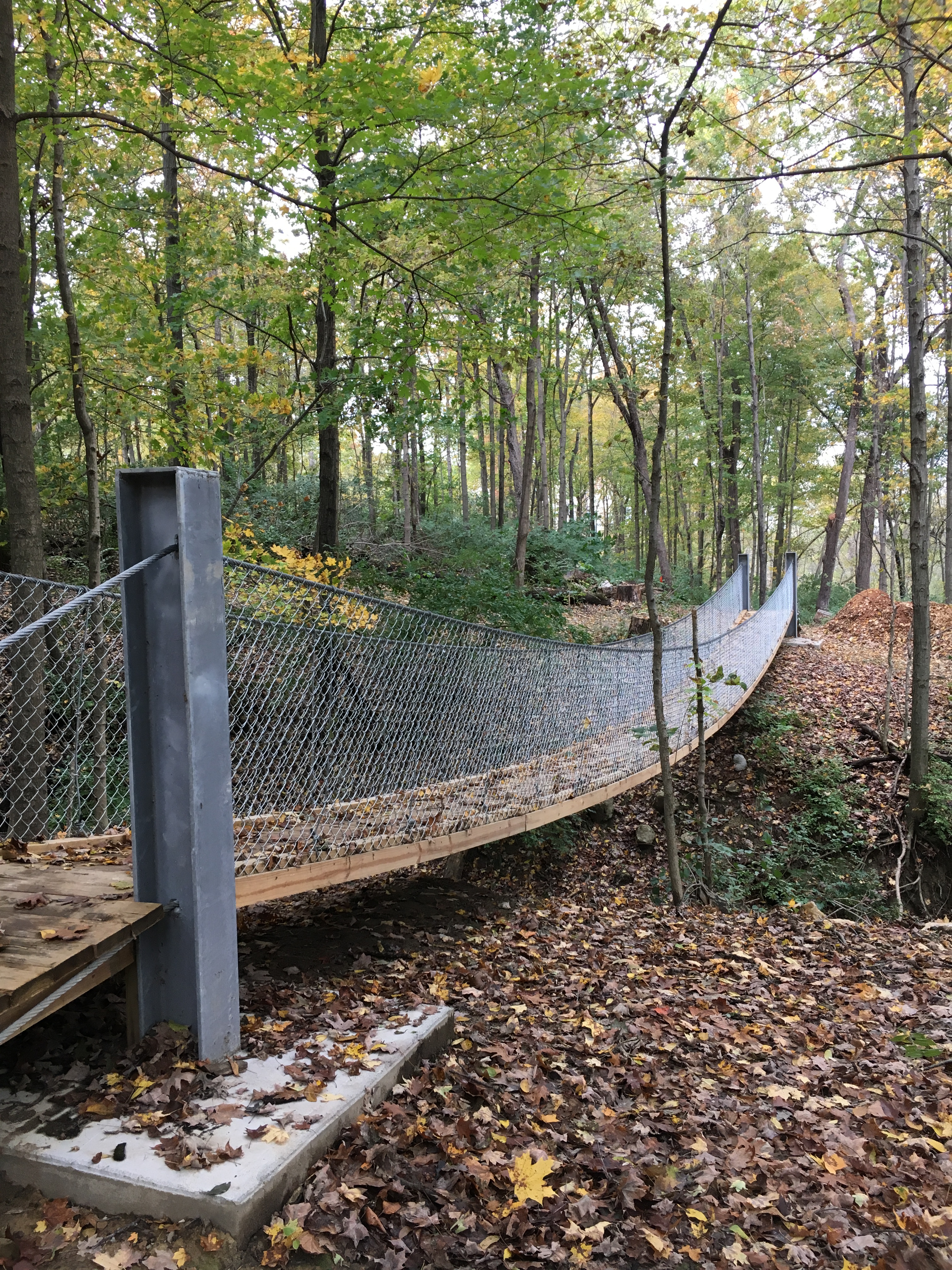 Cascade_Trail_-_27_Suspension_Bridge