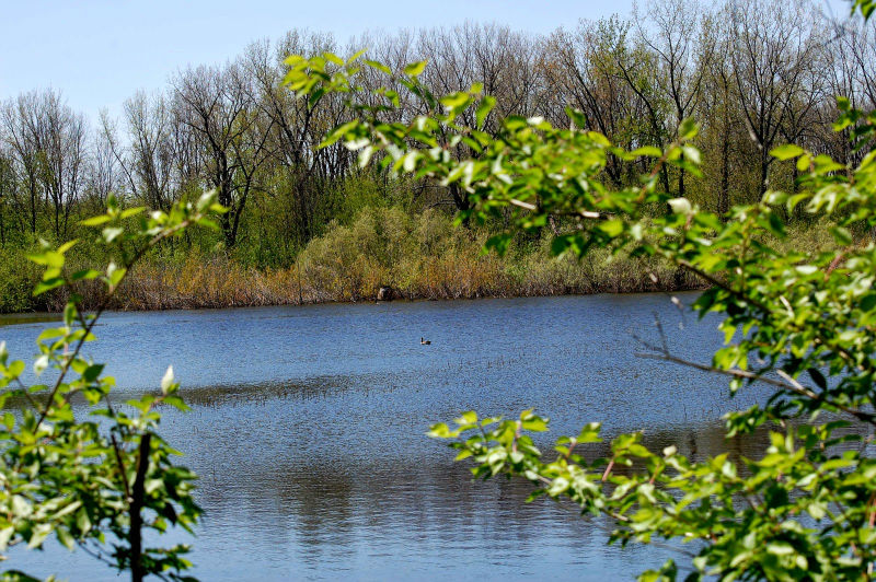 MetroParksSystem-Gilmorethroughbranches101716-w800-h600