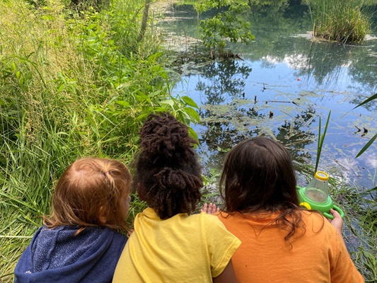 Pond Study