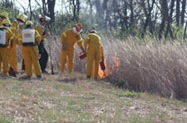 Controlled_Burn-2