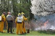 Controlled_Burn-3