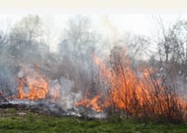 Controlled_Burn-4