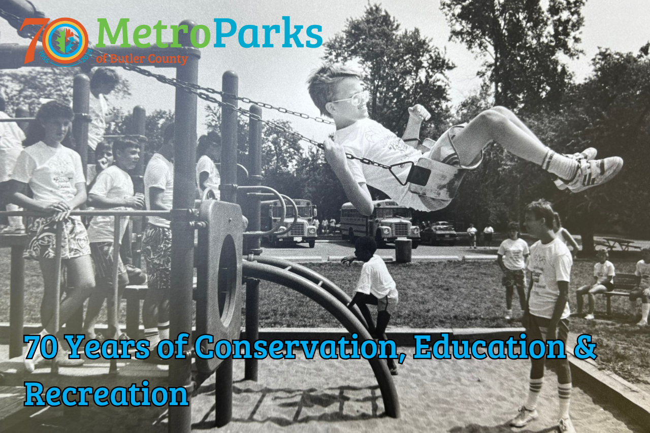 Children swinging and climbing during a summer day at a park