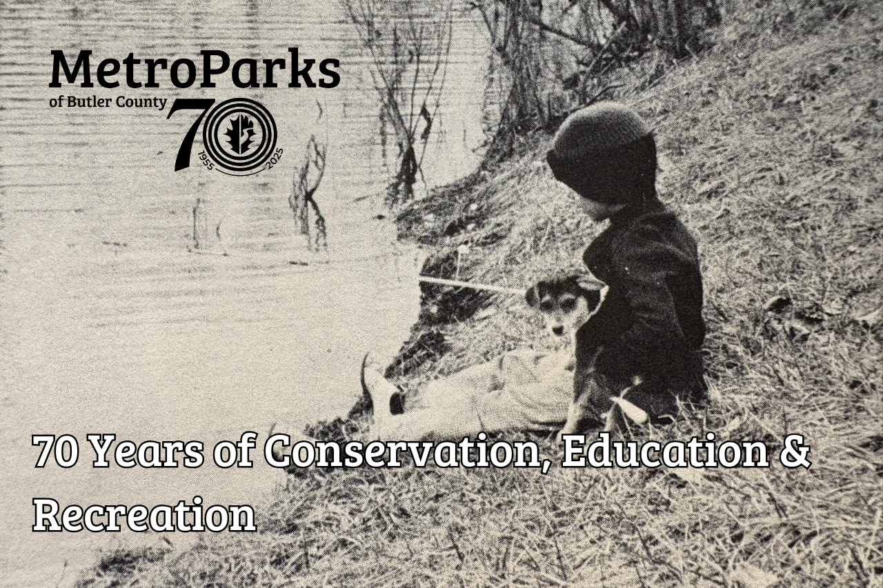 Click to learn more about MetroParks' 70th anniversary
