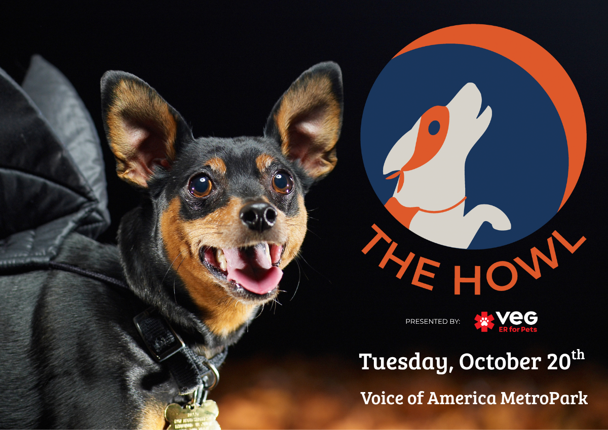 A dog in Halloween costume advertising a dog costume contest on October 20