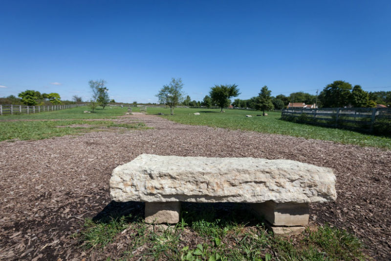 Wiggly_Dog_Park_-_7_Stone_Bench-w800-h600