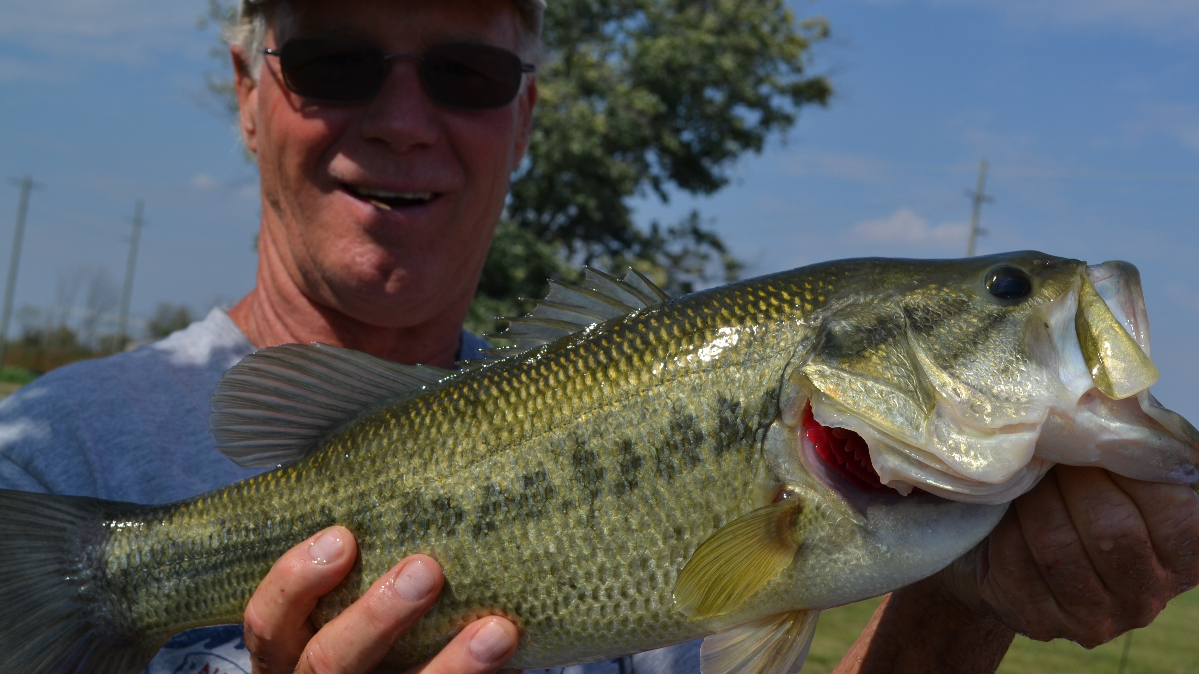 Fish at VOA - 12