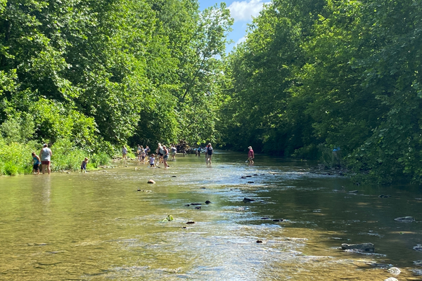 Creek with people wading at Sebald Park
