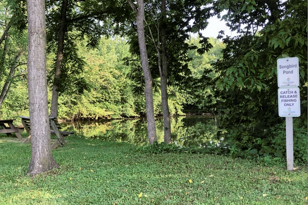 Still water near grassy area at Timberman Ridge