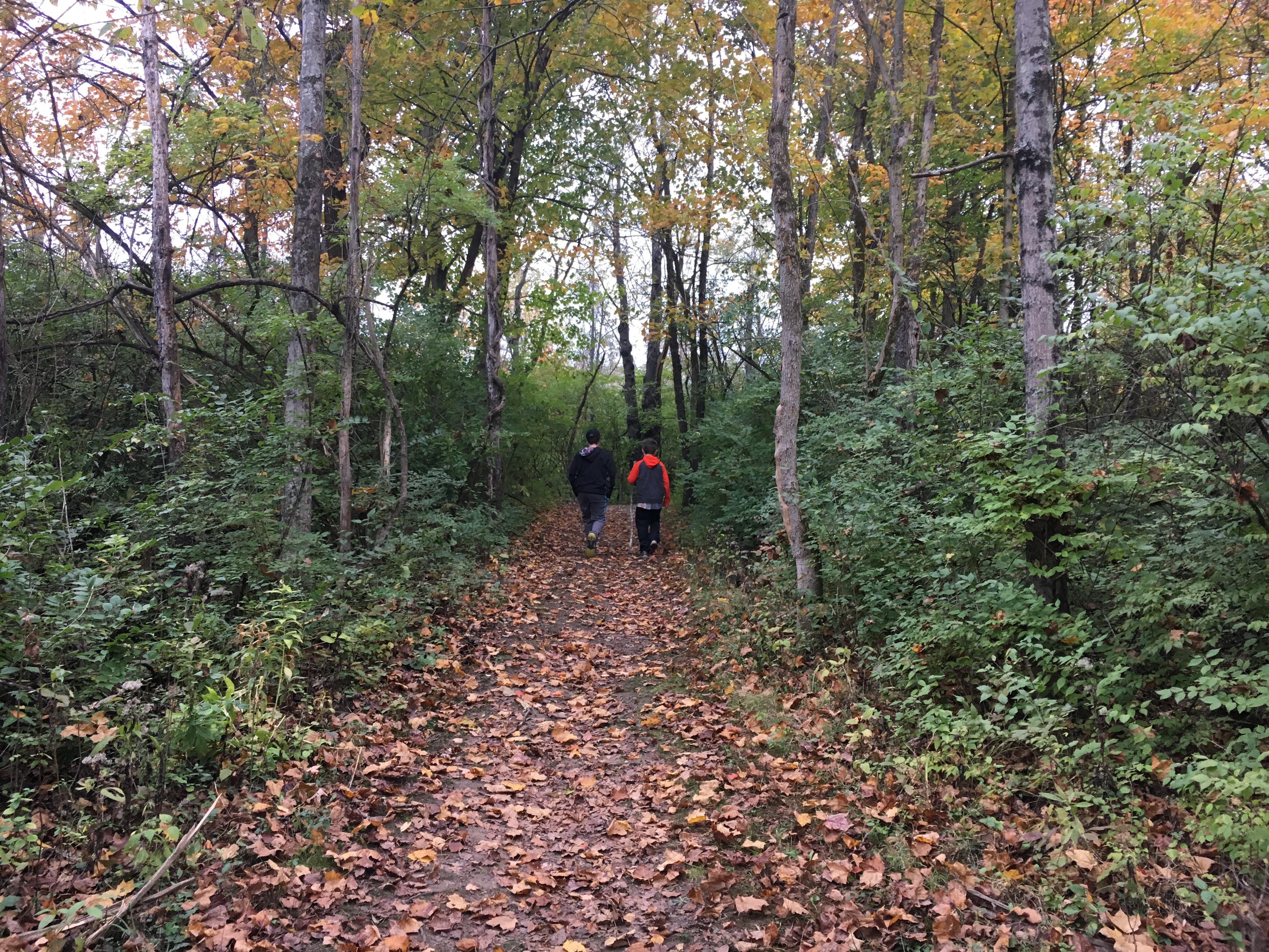 Hiking Trails Metroparks Of Butler County Hiking Trails Metroparks Of Butler County