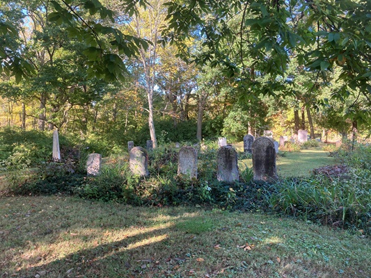Headstones in Bunker Hill Cemetery at Indian Creek MetroPark