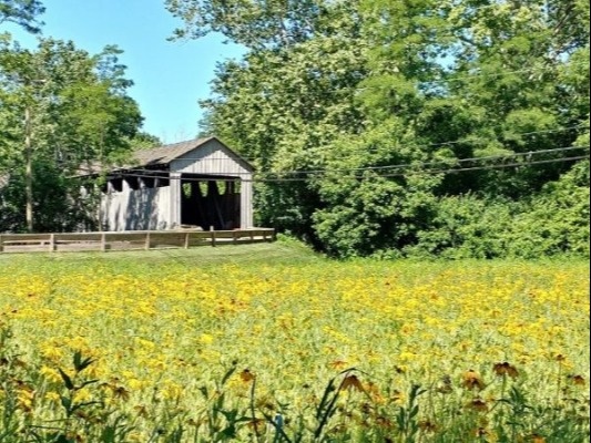 Black Covered Bridge Bridge and Field at Mill Race
