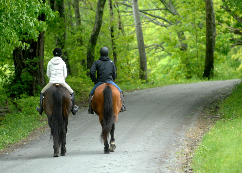 equestriantrail-w800-h600