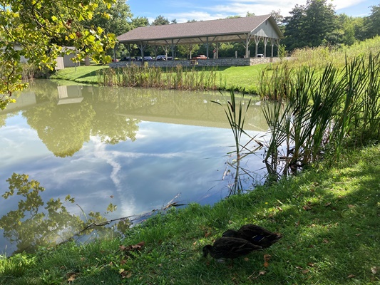 Paddling access for ponds at Meadow Ridge