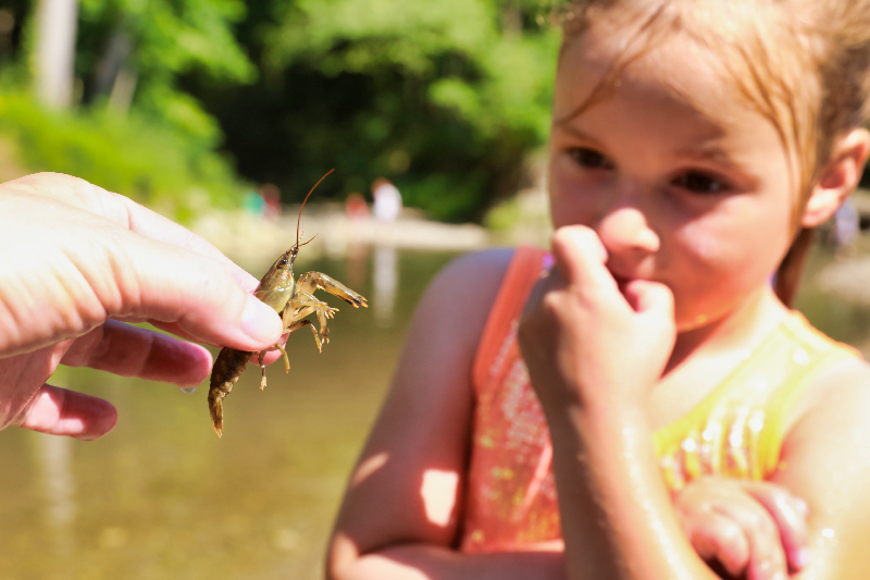 CreekingSebaldMetroParkinMetroParksofButlerCounty