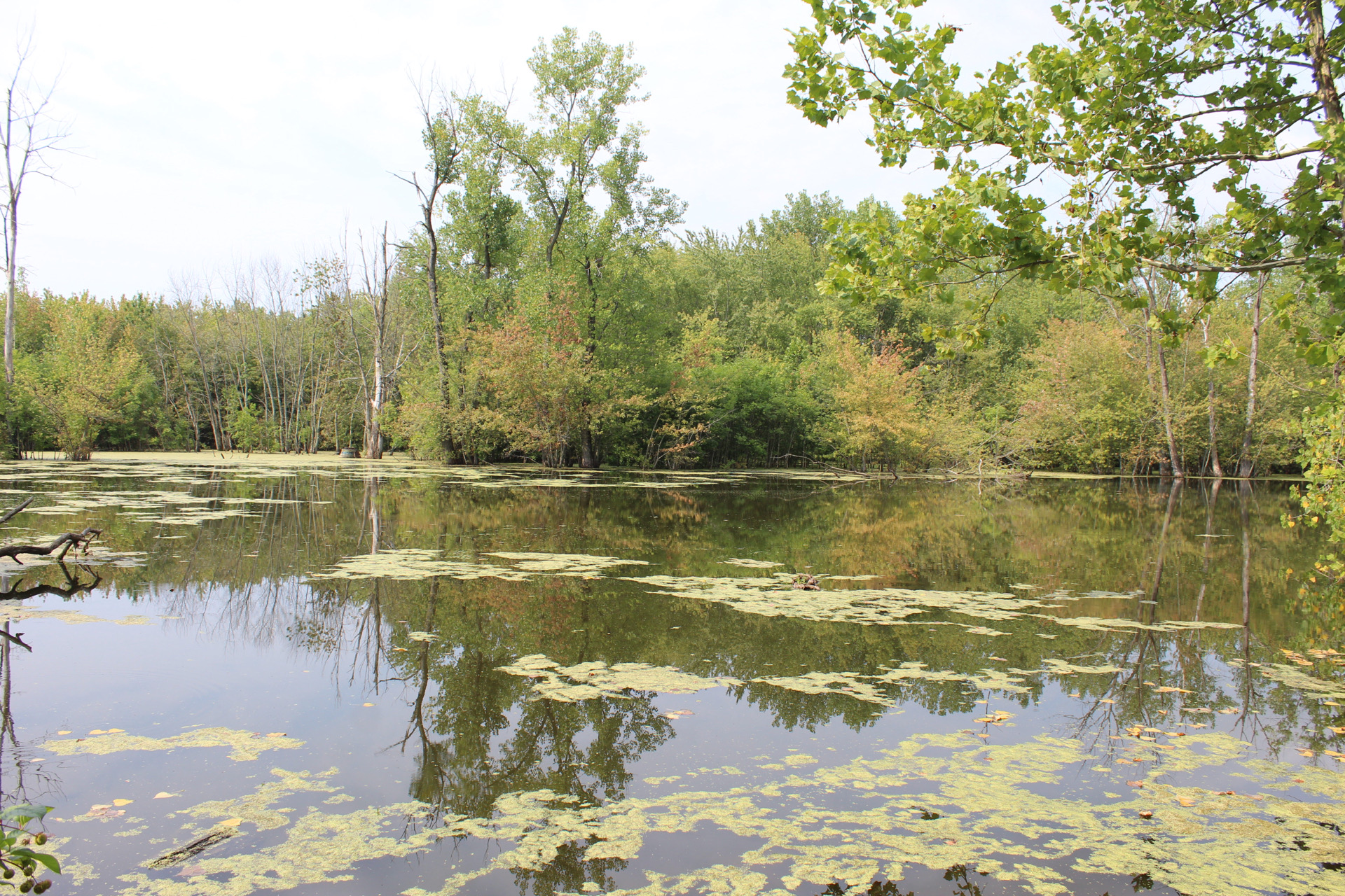 GilmoreMetroParkinMetroParksofButlerCounty