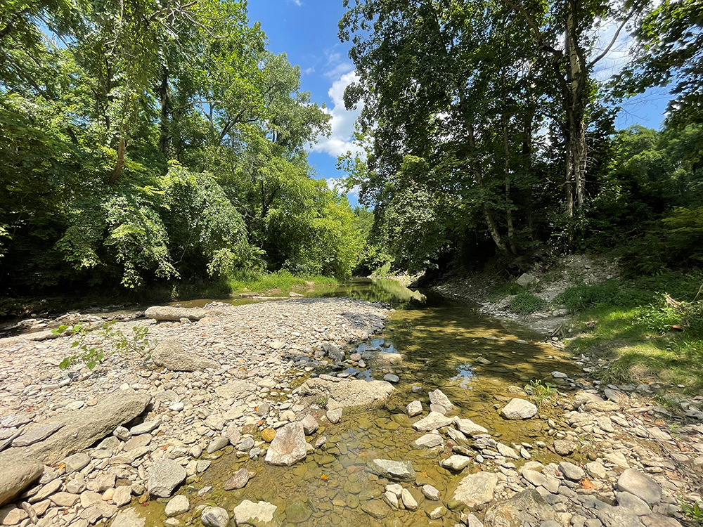 NaturalCreekGovernorBebbMetroParkinMetroParksofButlerCounty