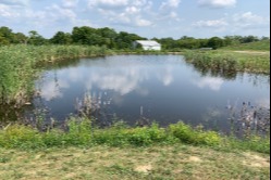 Pond  - Barn