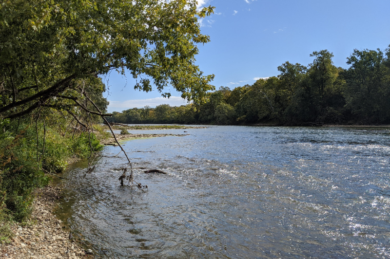 WoodsdaleRegionalPark-FamilyFallLeaves-w800-h600