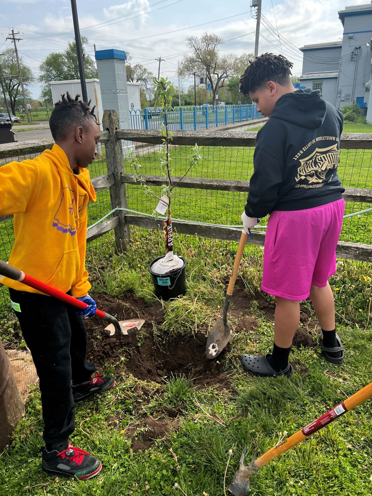 Students planting a tree Students planting a tree