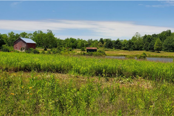 The red barn in a prairie with blue sky.