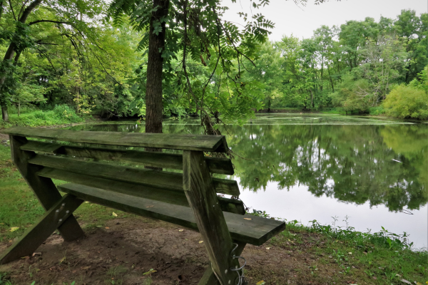 Bench near calm water at the Timberman Ridge Area park