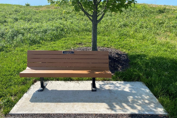 A brown bench by a tree at Voice of America MetroPark