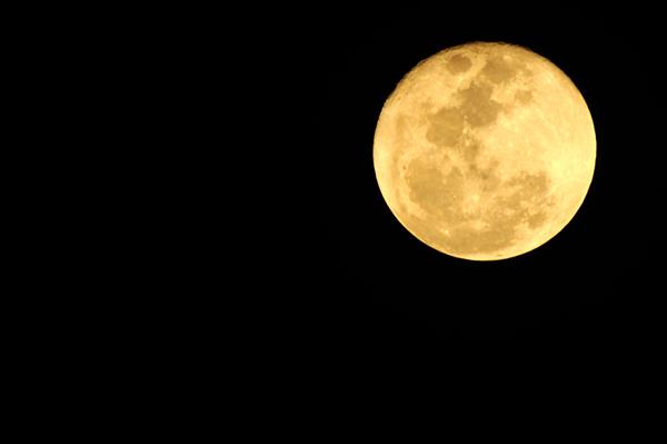 Cold Moon Cold Moon