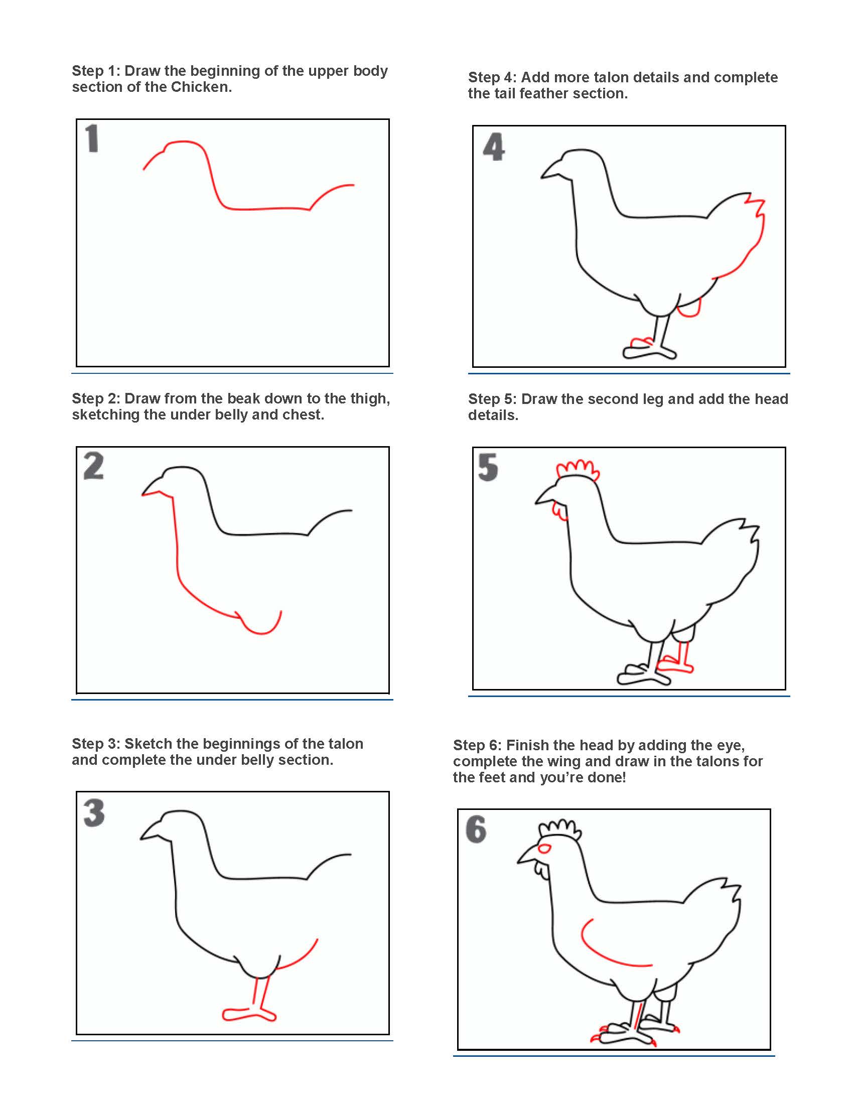 Drawing a chicken Drawing a chicken