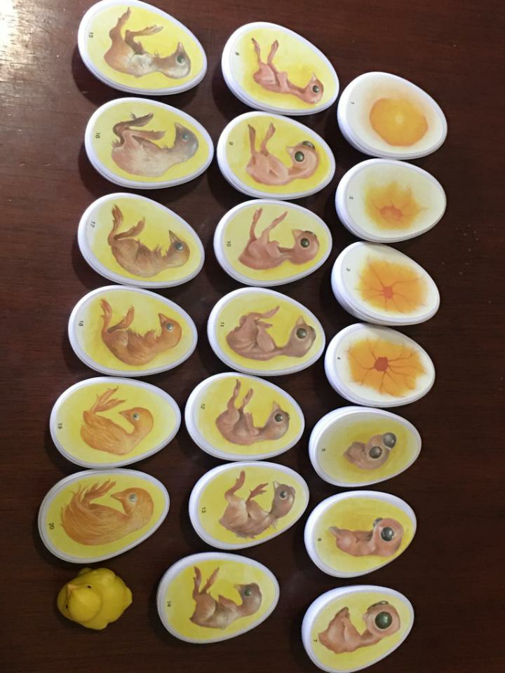 egg growth egg growth