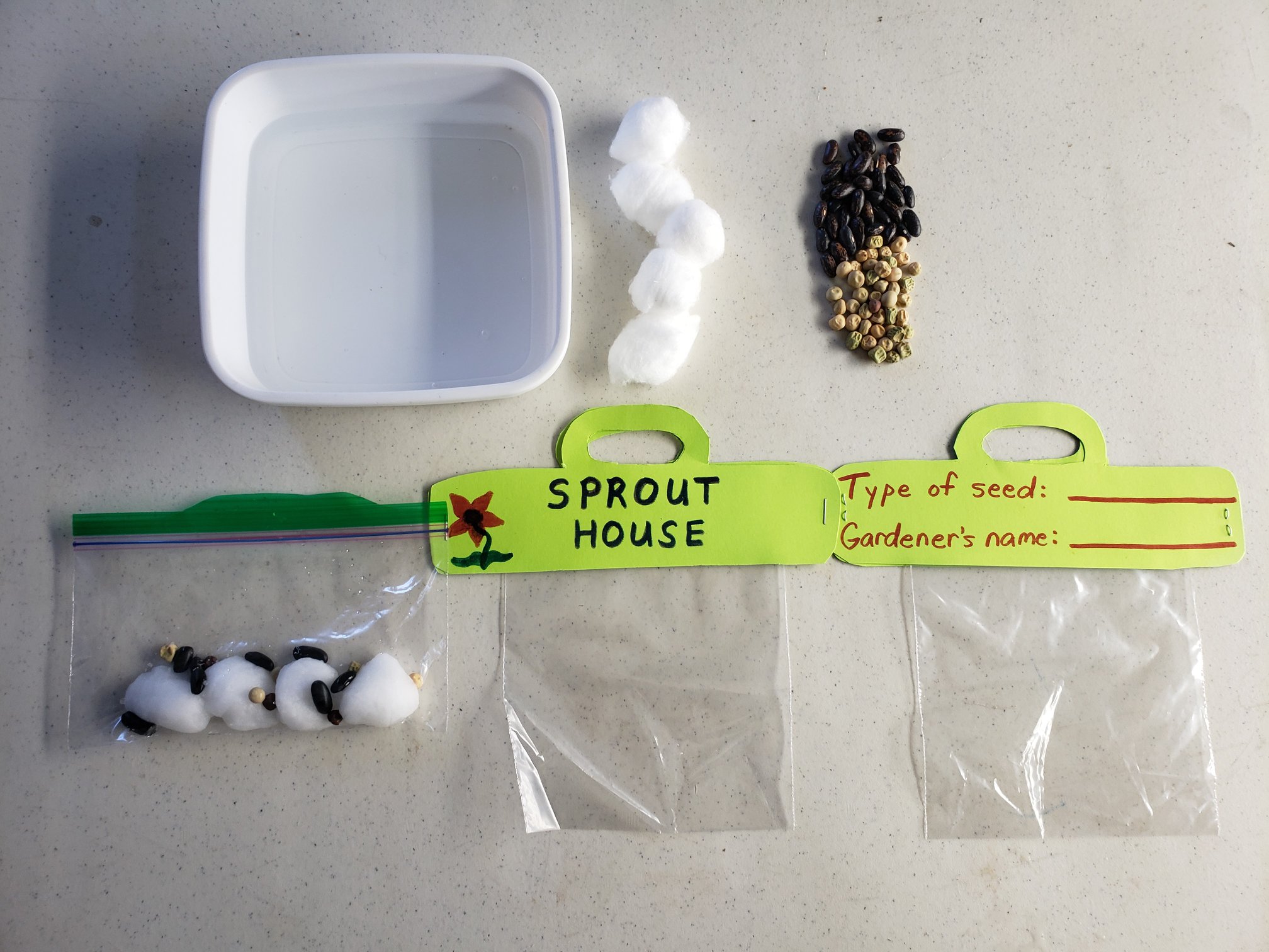Seeds Seeds