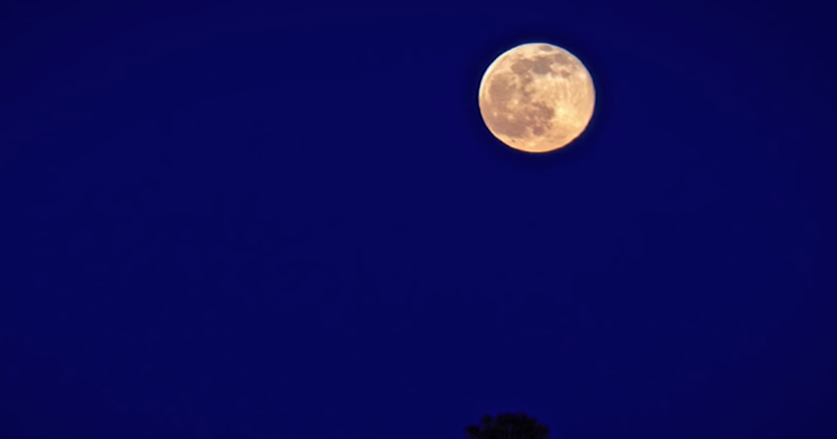 Strawberry Moon Strawberry Moon